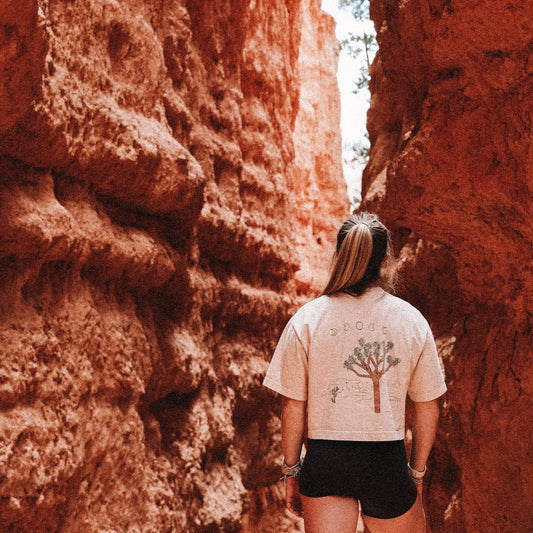 Destination: Joshua Tree, CA Crop