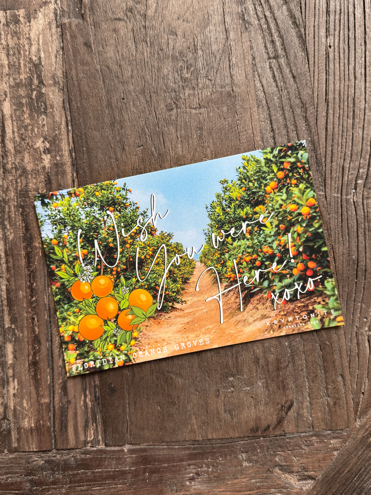LTD Viva Florida Orange Grove Pin