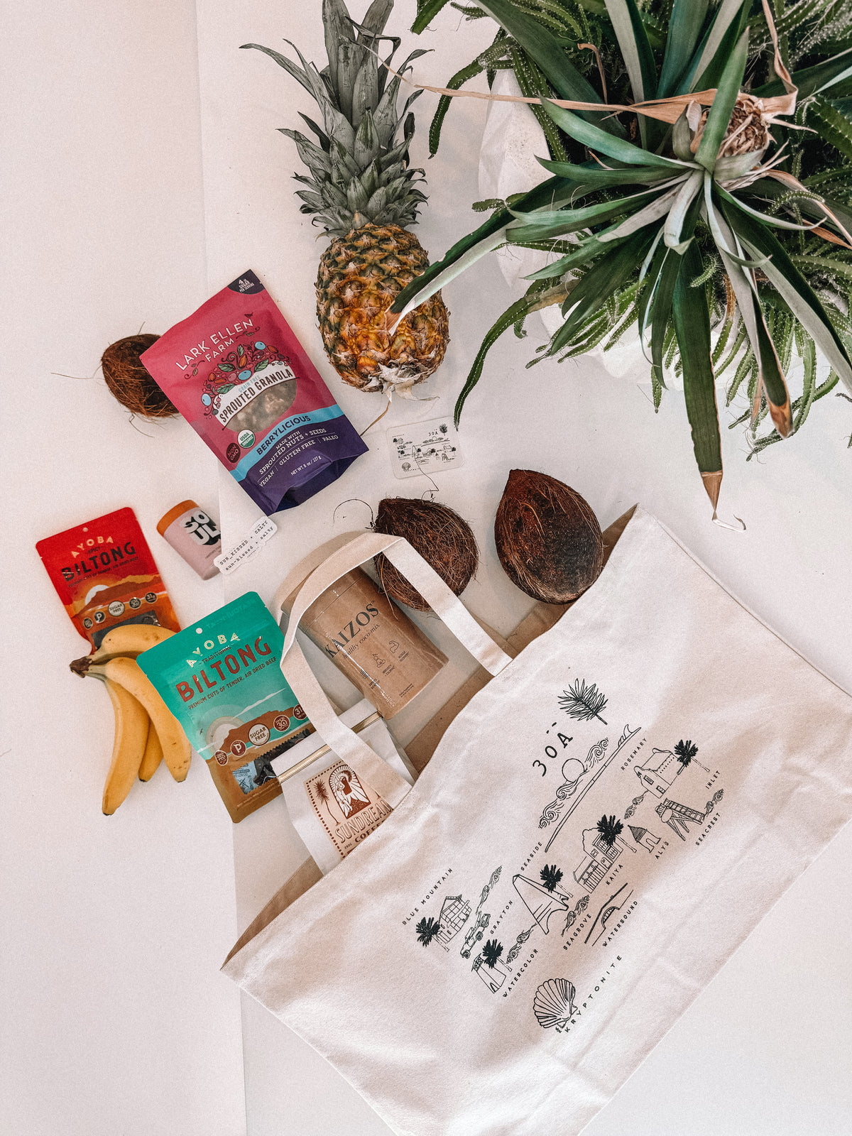 Destination: 30A Tote